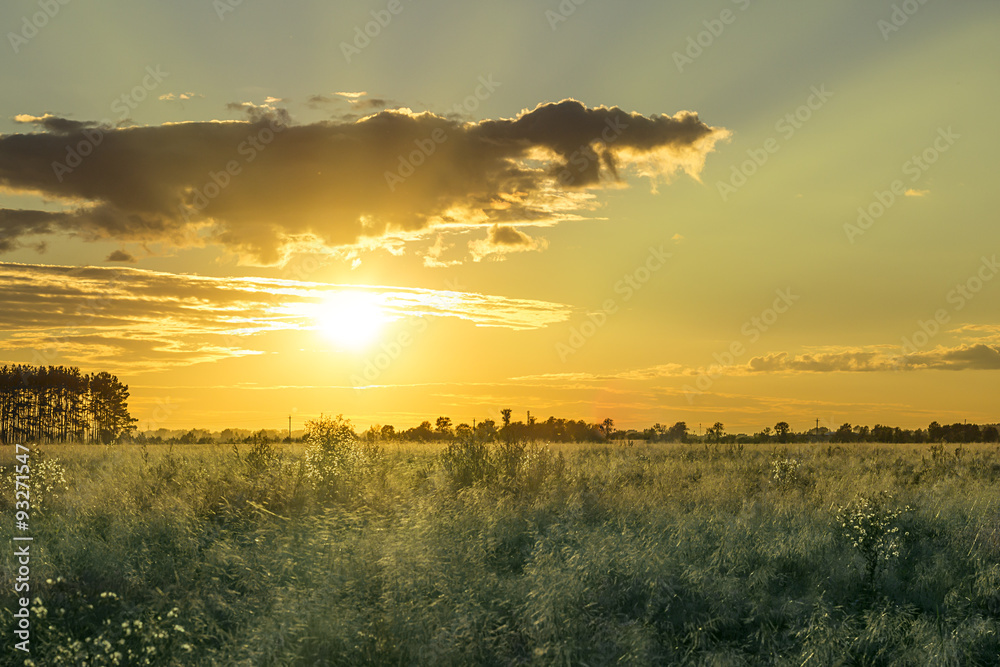 Green Field and Beautiful Sunset