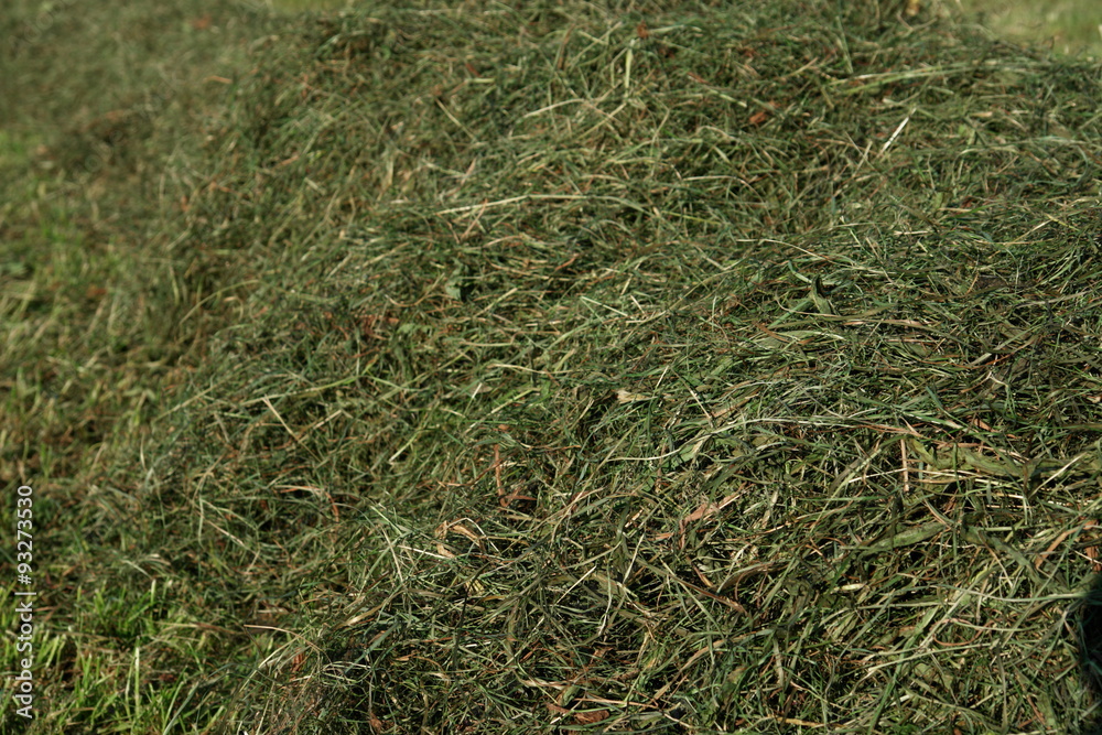 hay landscape hay landscape