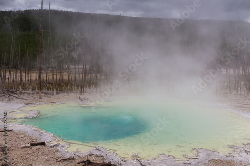 Emerald spring at Norris Geyser Basin