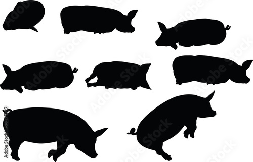 pig silhouette