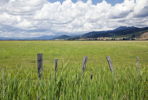 Meadow and wood post fence in Nevada County, Idaho, summer, 2015