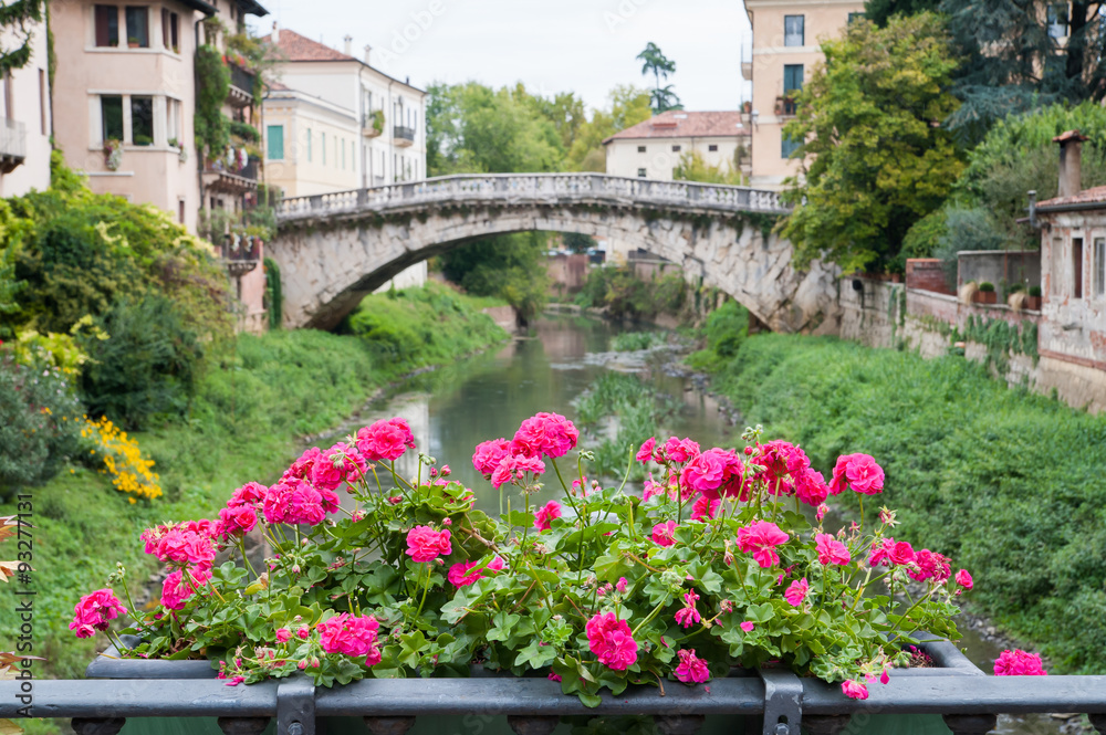 Flowered vase of geraniums in the balcony of San Paolo bridge and the old stone San Michele bridge in the background