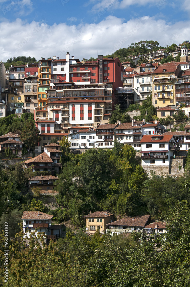 Town houses built on mountainside slope landscape