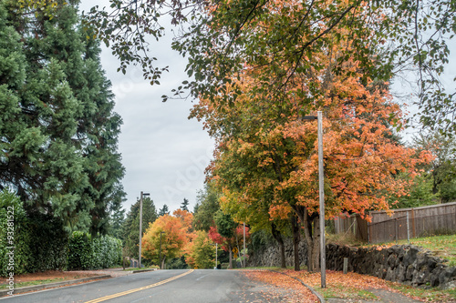 Autumn In Burien photo