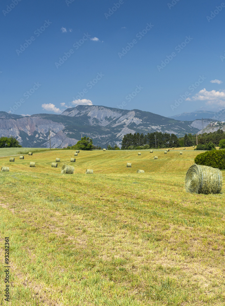 Landscape in Haute Provence