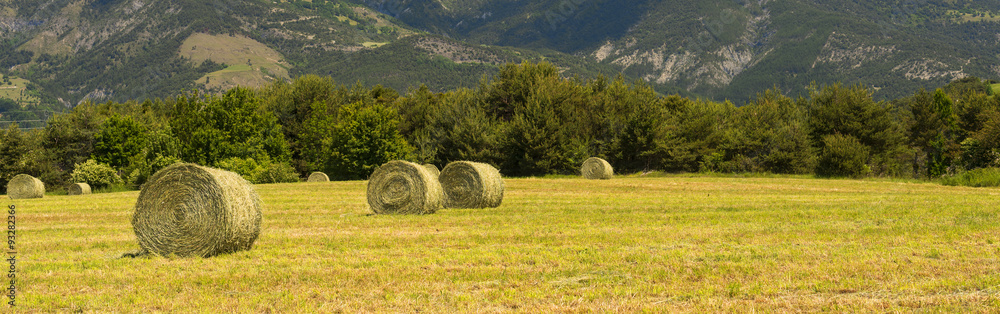 Landscape in Haute Provence