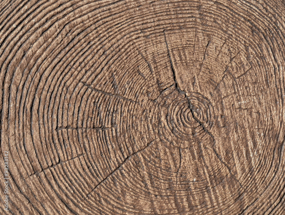 Naklejka premium I cut down a tree