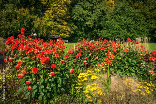 road in the beautiful garden