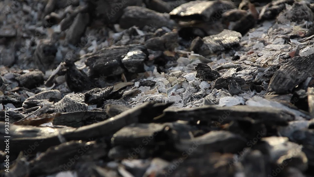 Ashes of a big fire Ashes of a big fire