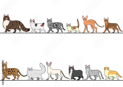 set of various cats walking in line