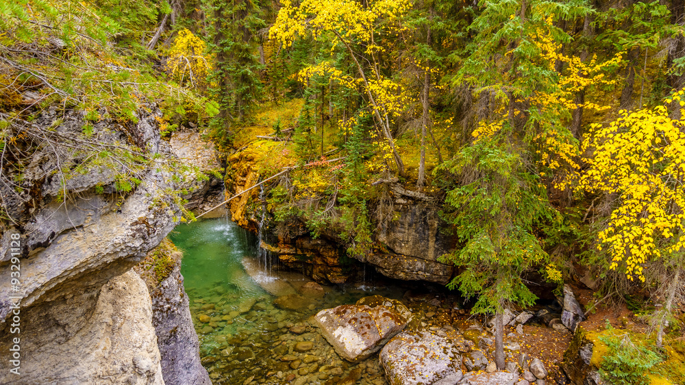 The Maligne River as it flows through the deep gorges of the Maligne Canyon in Jasper National Park in Alberta Canada The Maligne River as it flows through the deep gorges of the Maligne Canyon in Jasper National Park in Alberta Canada