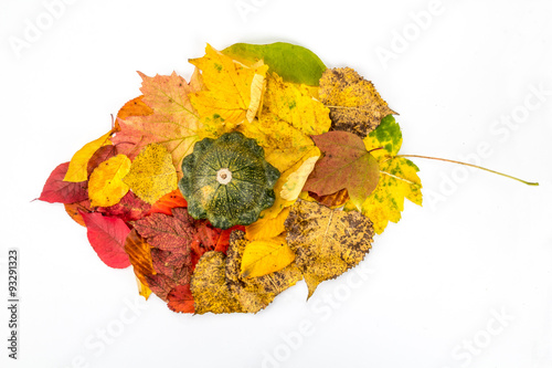 Herbstblatt aus Blätter und Kürbisse photo