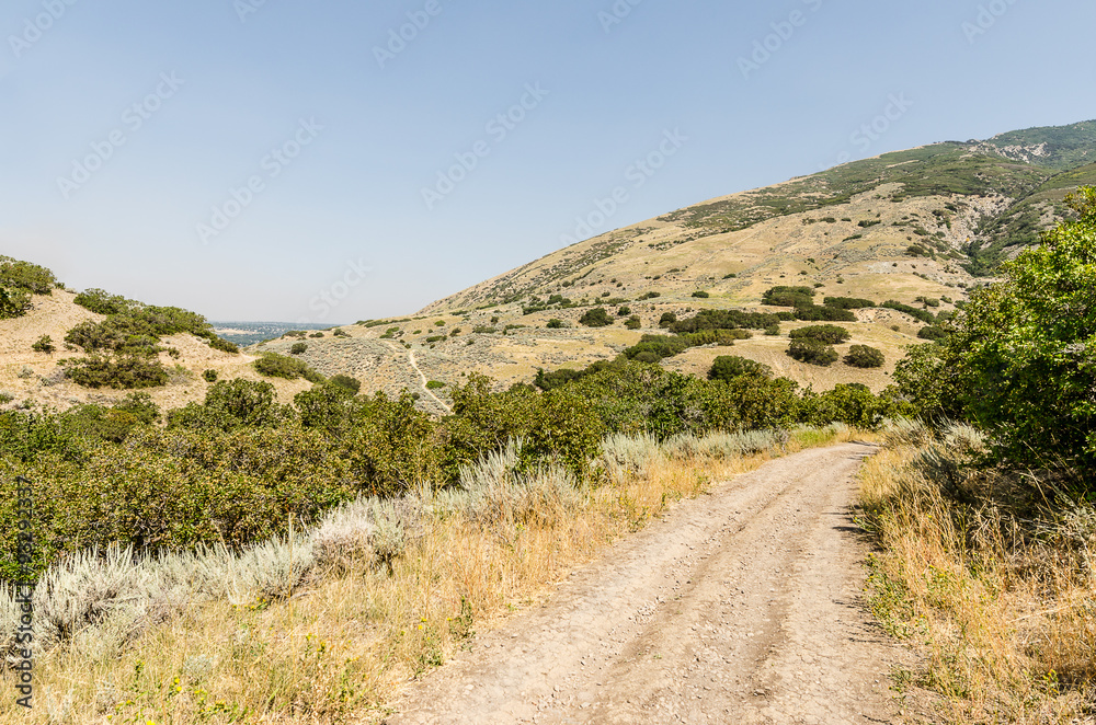 Trails in a Park