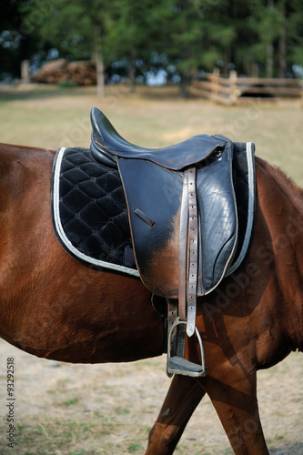 A saddle on the horse © Pavlo Burdyak