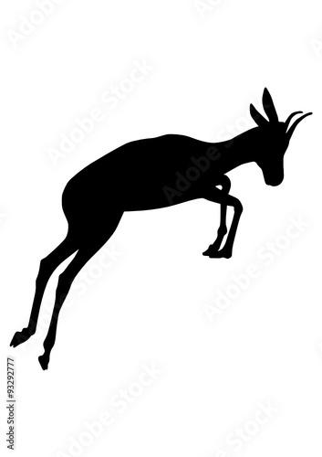 Antilope