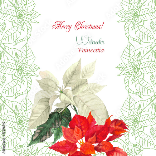 Background with bouquet of Christmas poinsettia