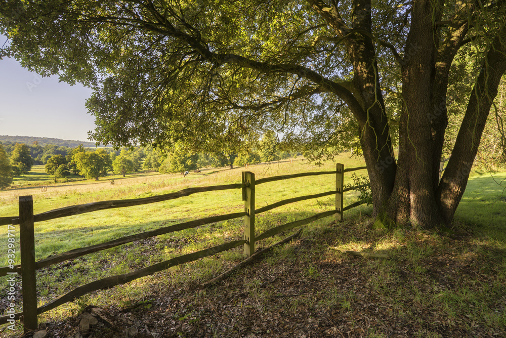 Beautiful sunlight English countryside landscape in Autumn