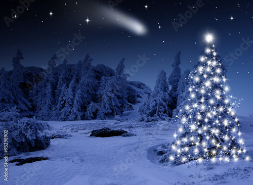 Hell Erleuchteter Christbaum im Wald