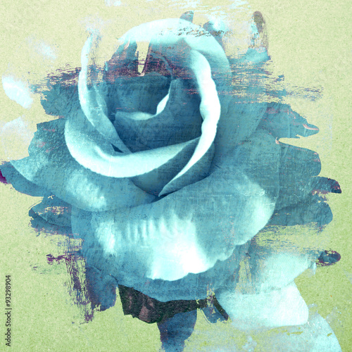 Vintage rose painted with brush stroke on wall background