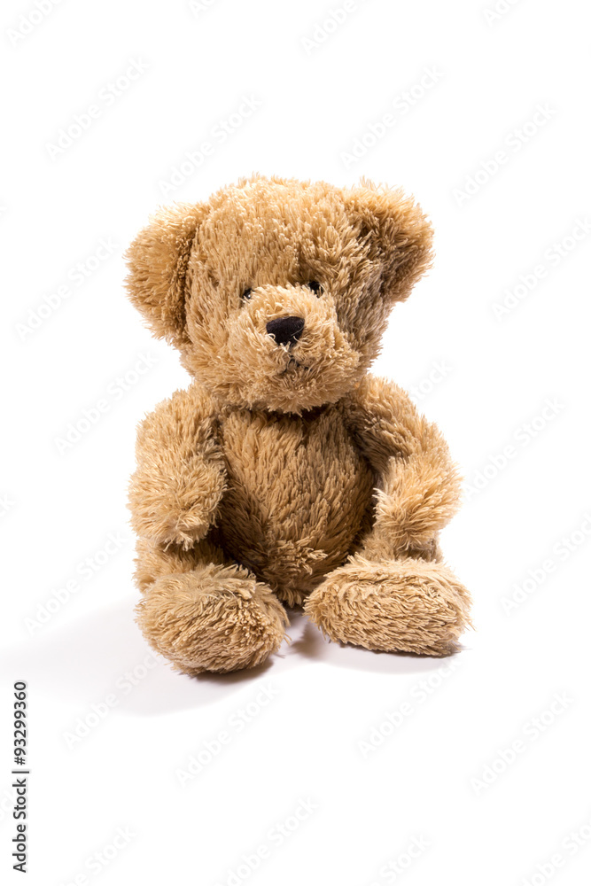 Plush teddy bear