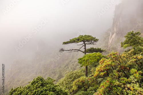 Photography landscape of fog mountains of china