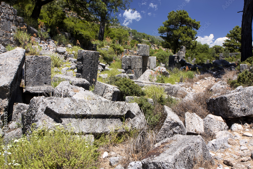 Lycian tomb, Pinara, Turkey
