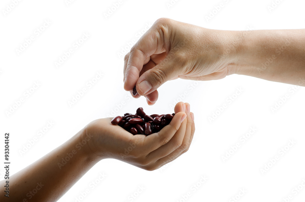 Dry red bean grain Dry red bean grain