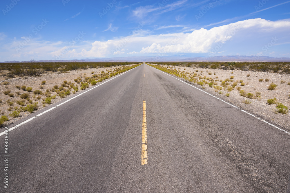 Fototapeta premium Desert Highway