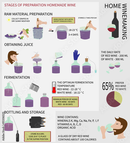 Home winemaking. Wine from grapes. Infographics.
