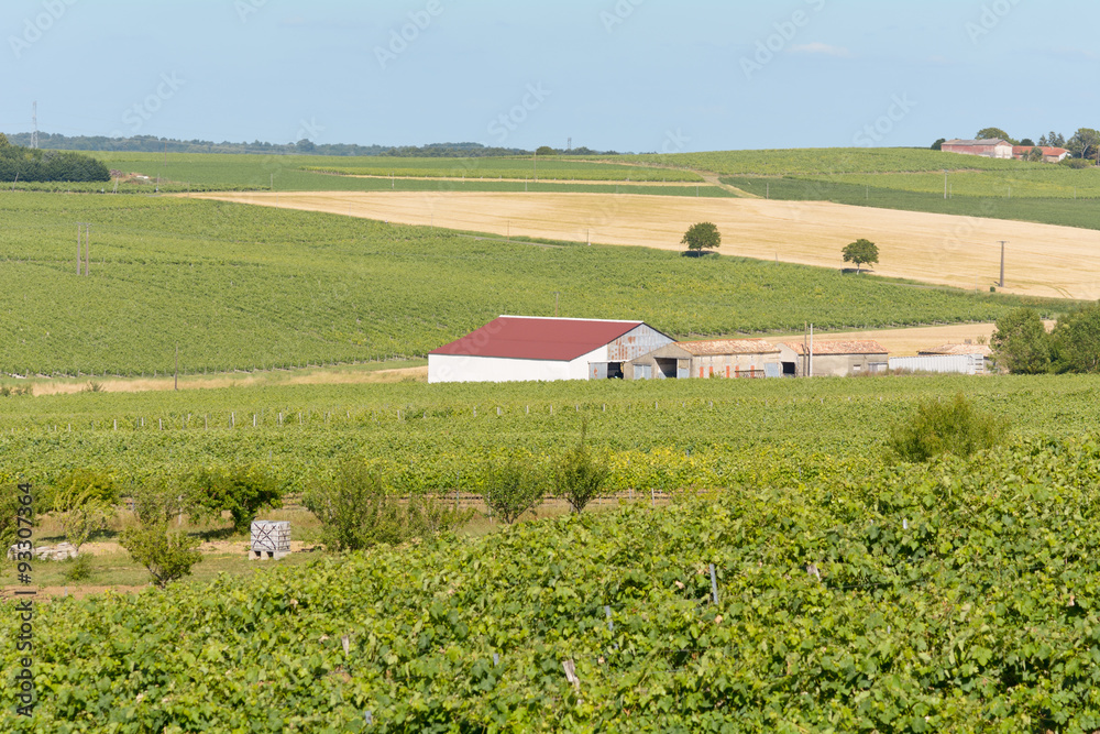 Red barn on vineyard in French countryside 