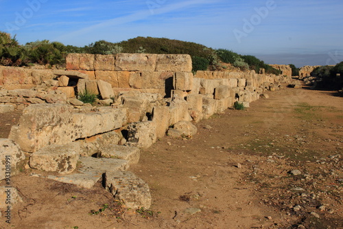 sito archeologico selinute trapani photo