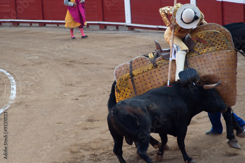 Bull attacking picador in corrida performance in Spain
