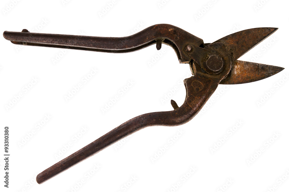 Old rusty tin snips Old rusty tin snips