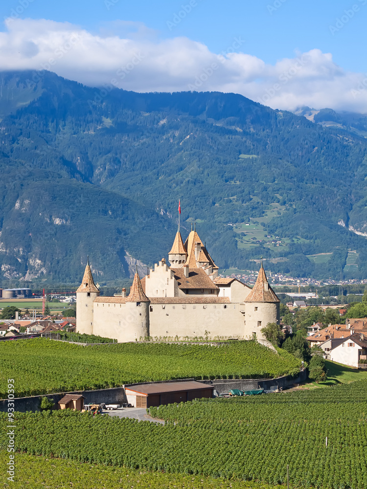 Fototapeta premium Chateau d'Aigle