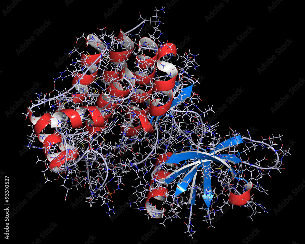 Janus kinase 1 protein. Part of JAK-STAT signalling pathway. - obrazy, fototapety, plakaty 