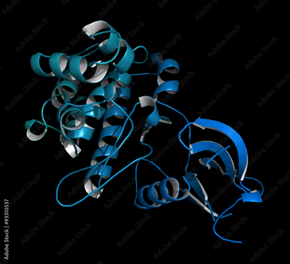 Janus kinase 1 protein. Part of JAK-STAT signalling pathway. - obrazy, fototapety, plakaty 