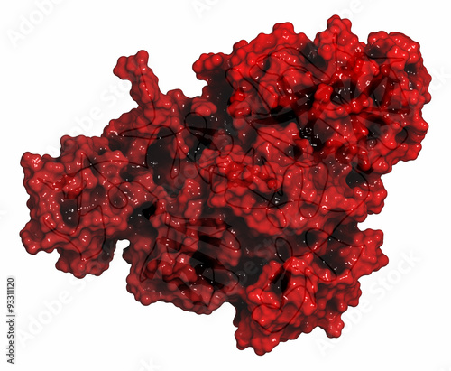 Obraz na płótnie Plasminogen plasmin precursor protein. 