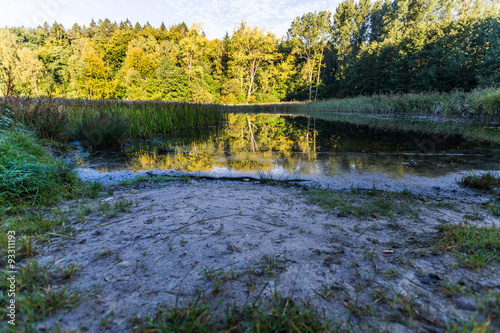 Waldsee in Mecklenburg