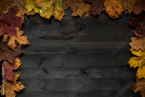 Wood autumn background