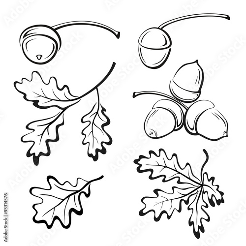 Oak Leaves and Acorns Pictograms