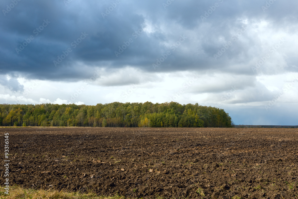 a plowed field near the forest