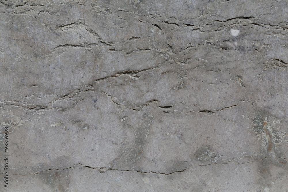 Fototapeta premium Gray stone wall texture