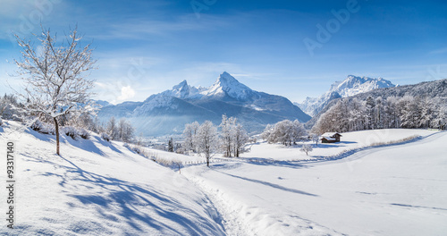 Winter wonderland in the Alps with trail