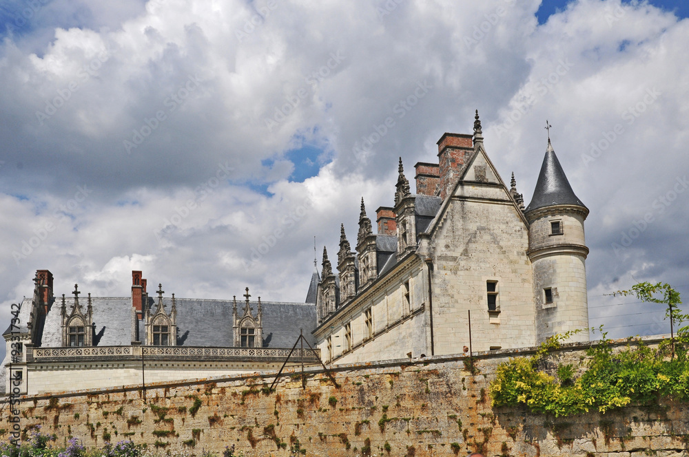 Il castello di Amboise - Loira, Francia