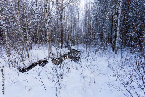 Frozen stream in winter forest