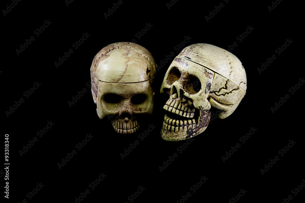 Obraz premium Two skull on isolated black background
