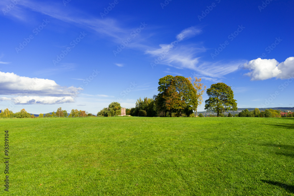 Grassy meadow with trees