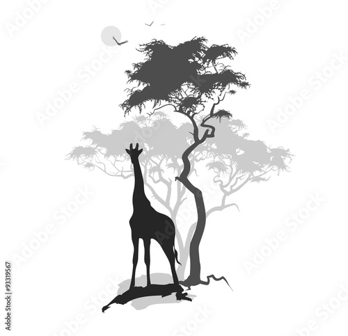африка силуэт