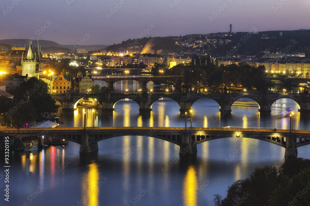 Fototapeta premium Bridges