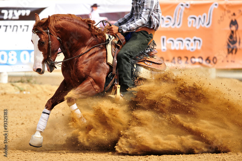 Obraz na płótnie A side view of a rider stopping a horse in the dust. w salonie